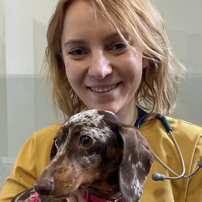 504A3B11-D7F8-41C5-9CE5-D822C3234F71 (1)