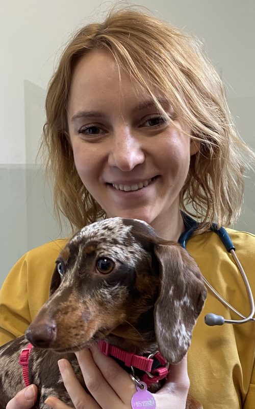 504A3B11-D7F8-41C5-9CE5-D822C3234F71 (1)